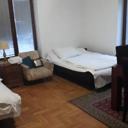 Apartment Mladenovic *