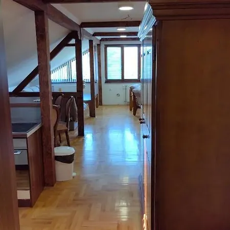 Mladenovic Apartment Kladovo