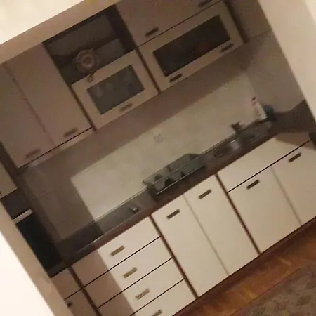 Apartment Mladenovic *