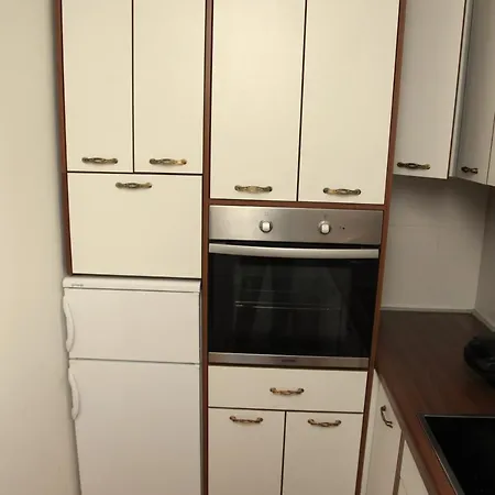 Apartment Mladenovic *