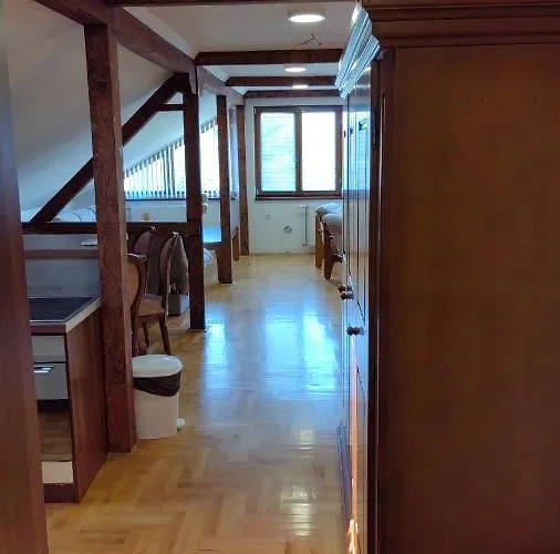 Mladenovic 公寓 克拉多沃